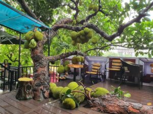 san go nhua ngoai troi cho quan caffe